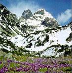 Rila mountains